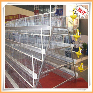 Professional Supplier poultry equipments Chicken Layer Cage